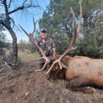 nm-elk-guide-bow