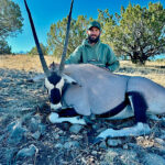 off-range-oryx-new-mexico