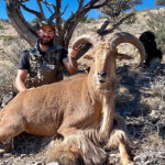 over-the-counter-aoudad-guides