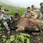 pecos-sheep-hunting-guide-new-mexico