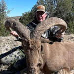 barbary sheep new mexico
