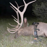 bow-hunt-nm