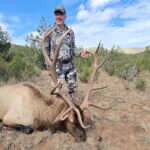 great-new-mexico-private-land-bull