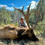 gsco-elk-hunting