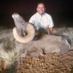 guided-sheep-hunting