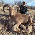 new-mexico-aoudad-hunts