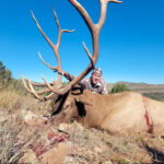 rifle-hunting-new-mexico