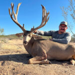 sonora-mule-deer-monster