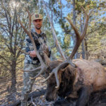 unit-6c-rifle-elk-guides