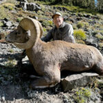 colorado-s54-guided-hunt