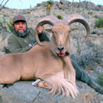 Guided-texas-sheep-hunting