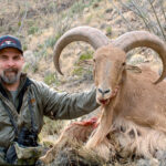aoudad-sheep-guides