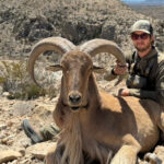 guided-aoudad-hunting