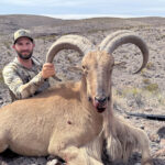 sheep_hunting_texas