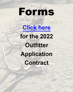 Forms-2022
